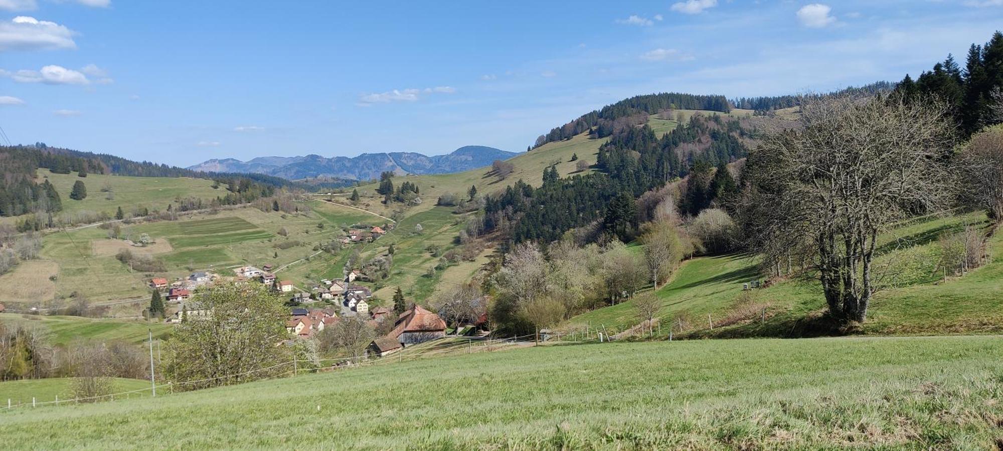 Ferienwohnung Nani Kleines Wiesental Exterior foto